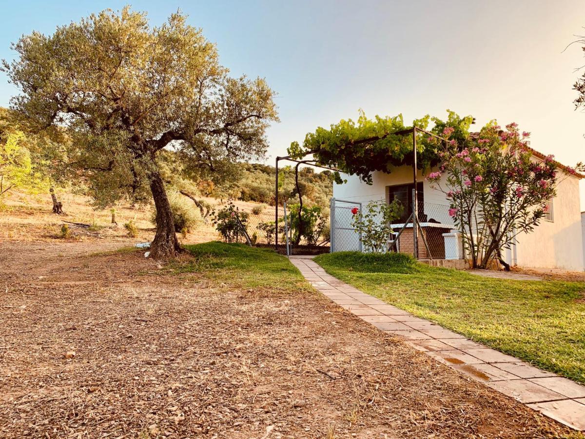 Casa Rural Arroyo Marco Guadalcanal Exteriér fotografie